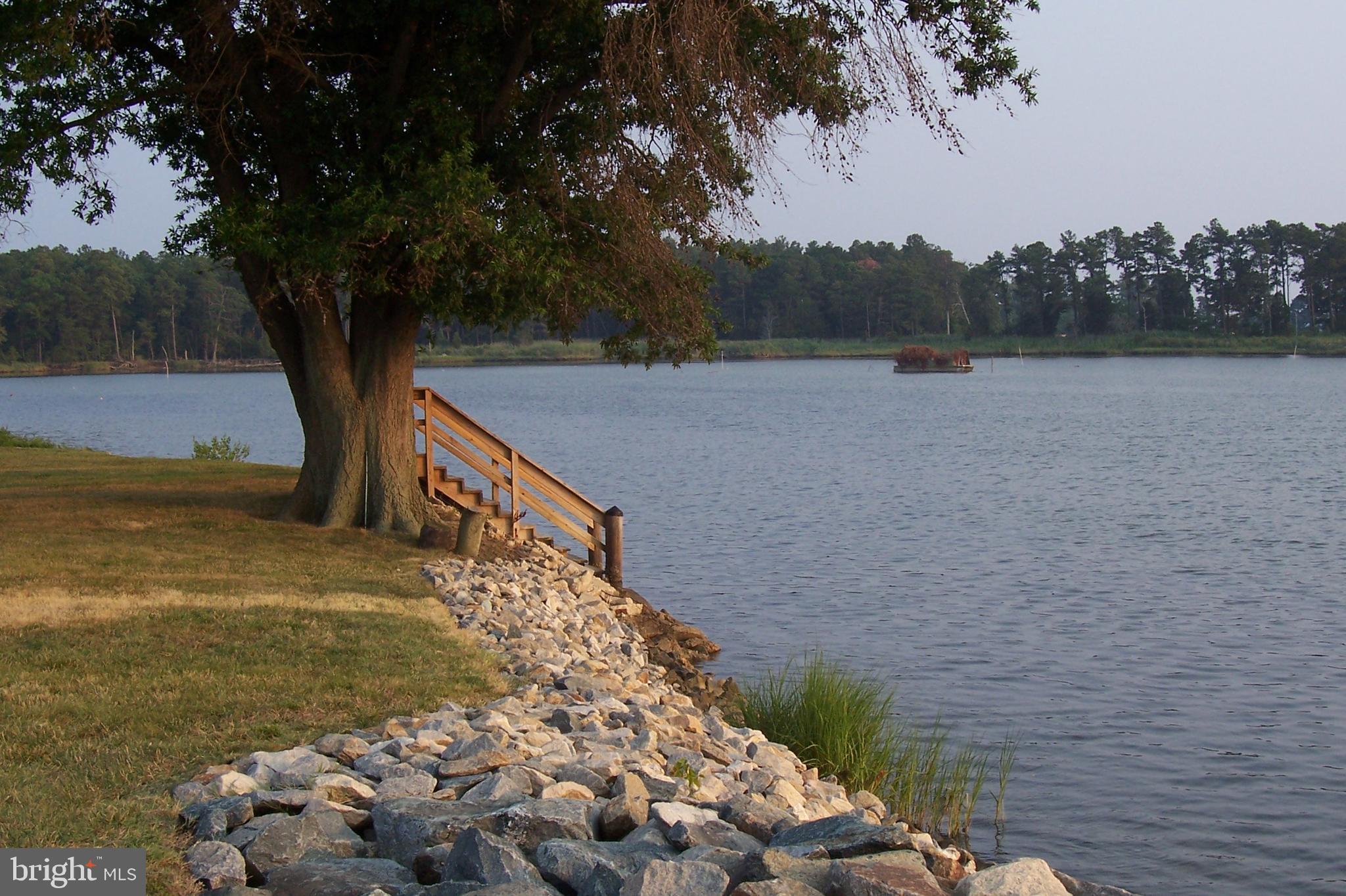 700 Twin Point Cove Road Cambridge, MD 21613 - Photo 9 of 19 Gallery Image 9