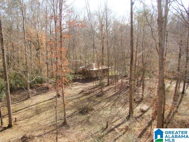 336 Verbon George Road Wellington, AL 36279 - Photo 15 of 25