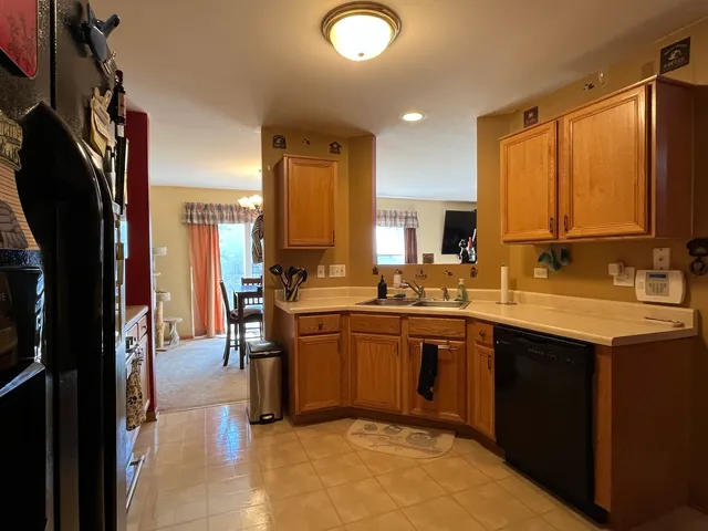 a kitchen with a sink refrigerator and cabinets