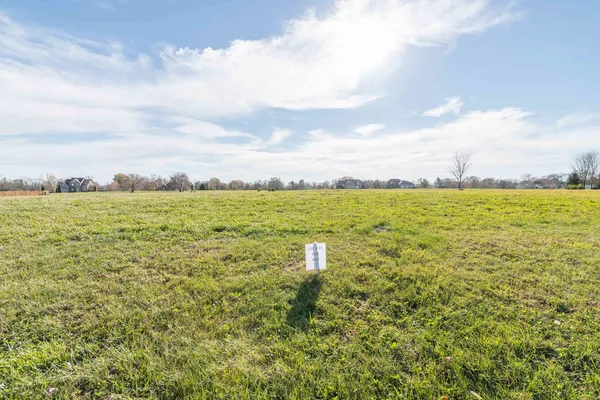 a view of an ocean from a yard