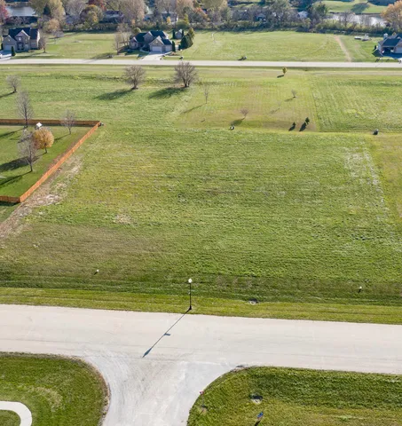 a view of a swimming pool with a lawn chairs and plants