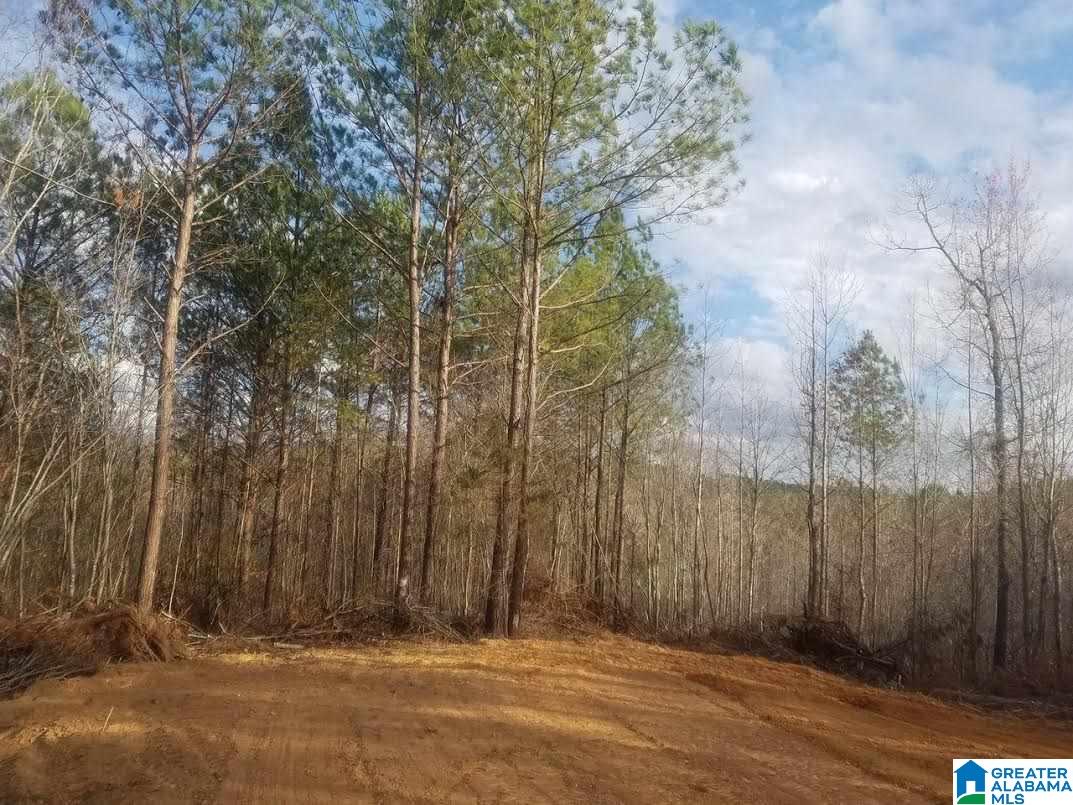0 Herman Rdg Drive Oxford, AL 36203 - Photo 1 of 2