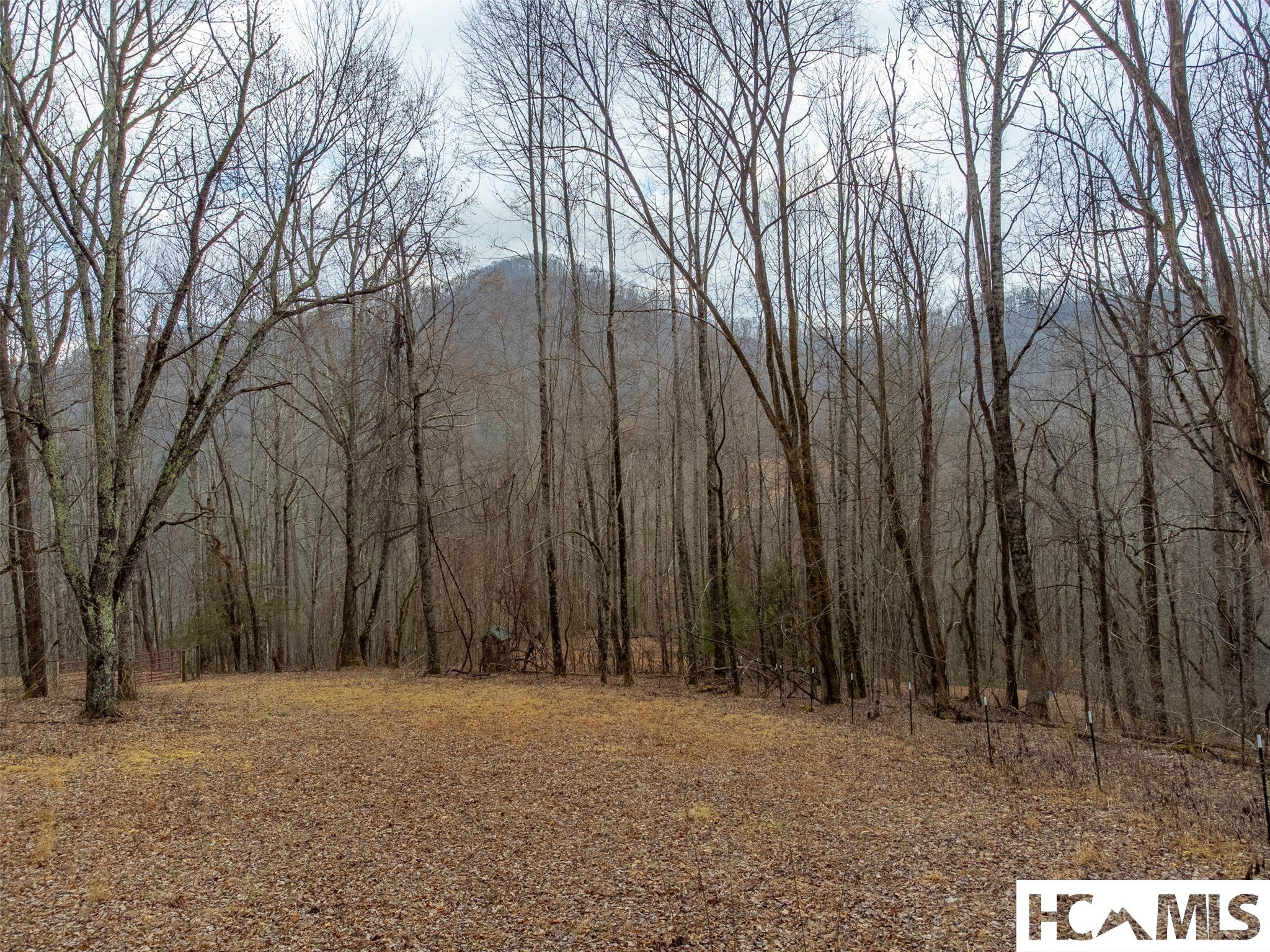1241 Henry Road Franklin, NC 28734 - Photo 41 of 67 Gallery Image 41