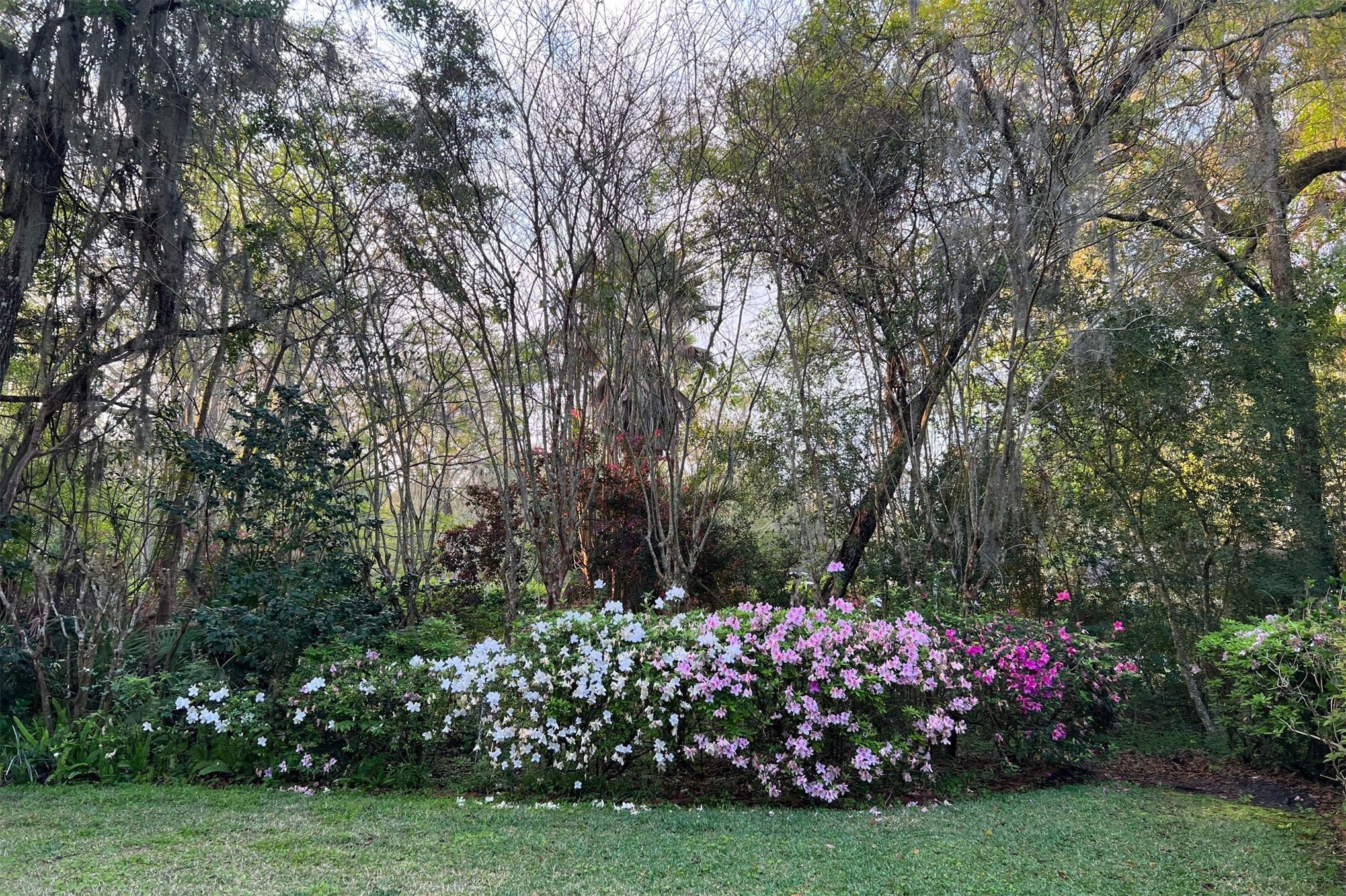 86341 Meadowfield Bluffs Road Yulee, FL 32097 - Photo 40 of 68 a view of a garden with flowers and trees