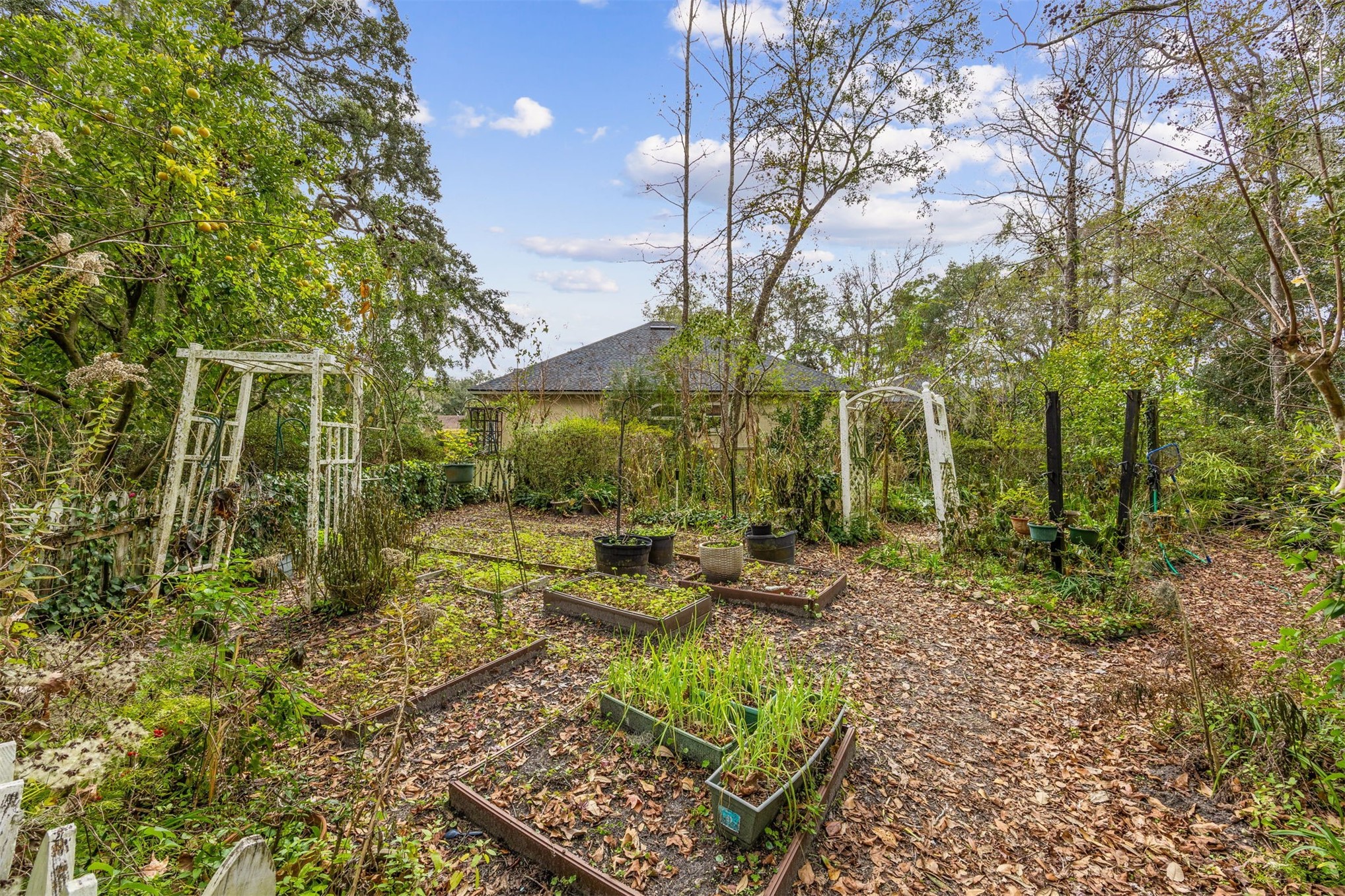 86341 Meadowfield Bluffs Road Yulee, FL 32097 - Photo 43 of 68 a view of backyard of house with outdoor seating and green space