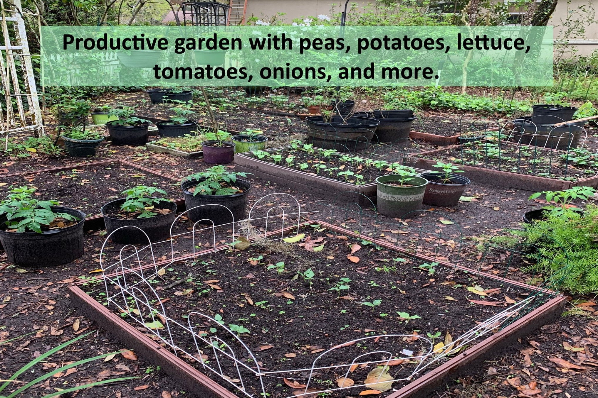 86341 Meadowfield Bluffs Road Yulee, FL 32097 - Photo 44 of 68 ... thoughtfully integrated into the landscape.