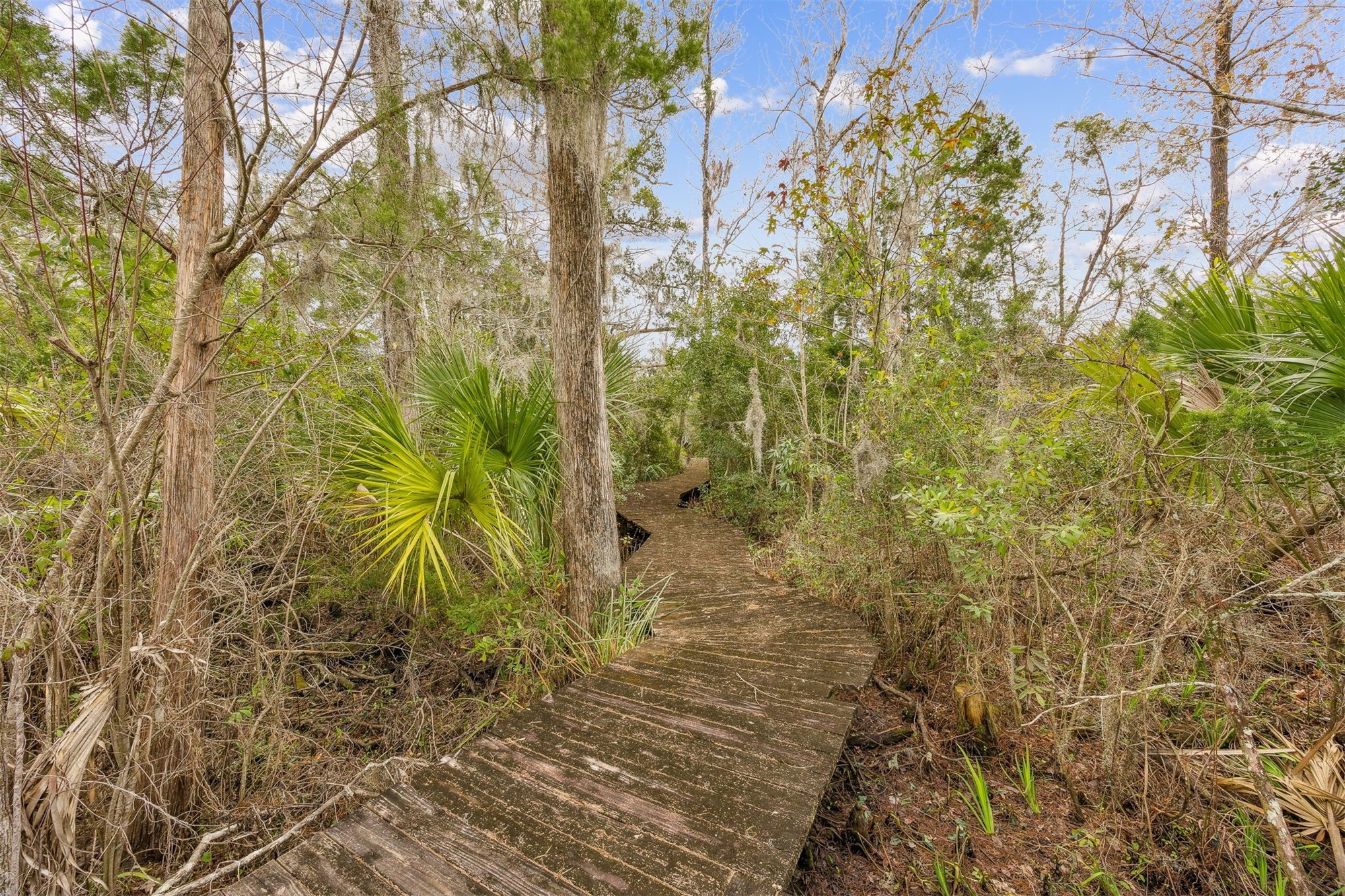 86341 Meadowfield Bluffs Road Yulee, FL 32097 - Photo 50 of 68 ... crossing through maritime forest ...