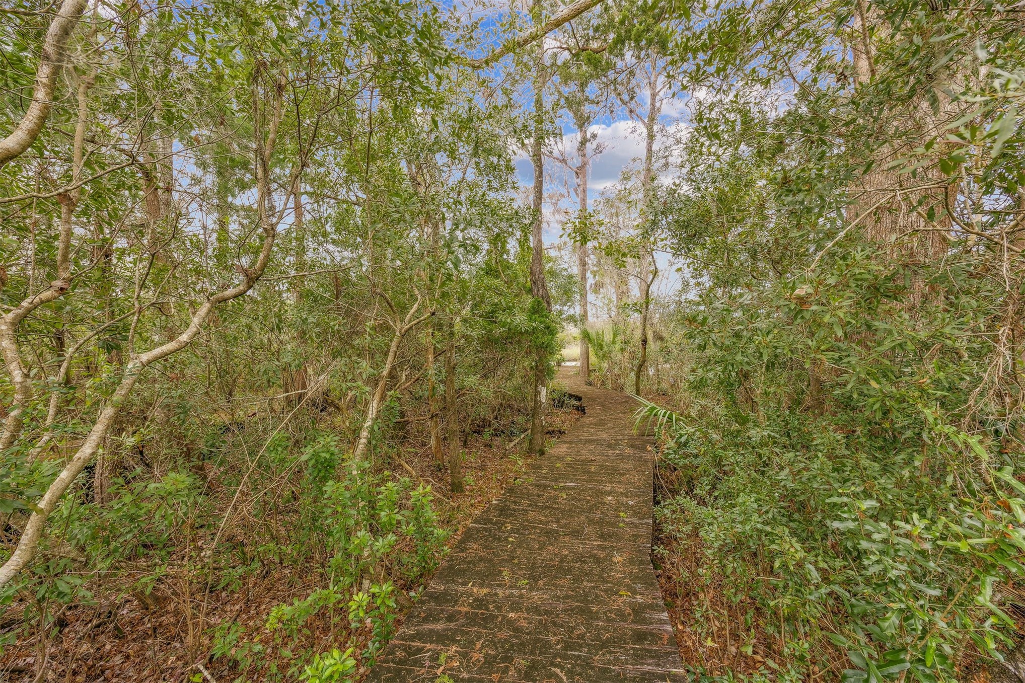 86341 Meadowfield Bluffs Road Yulee, FL 32097 - Photo 51 of 68 ... and a professionally installed dock ...