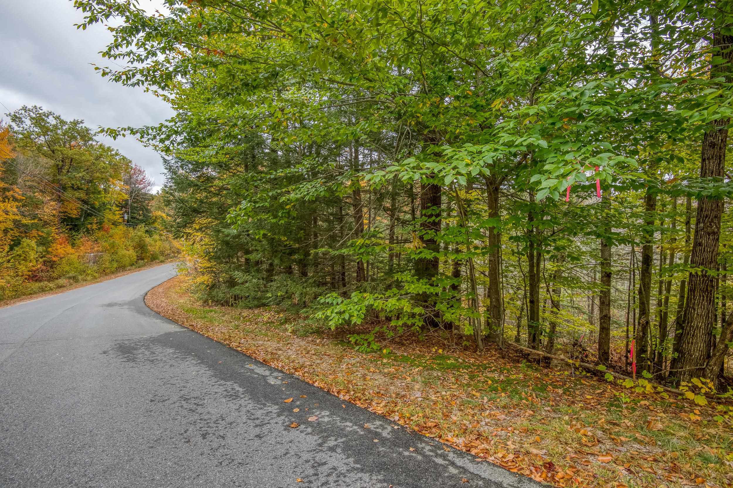0 Ellis Ridge Road, Unit B6B Glen, NH 03838 - Photo 4 of 10