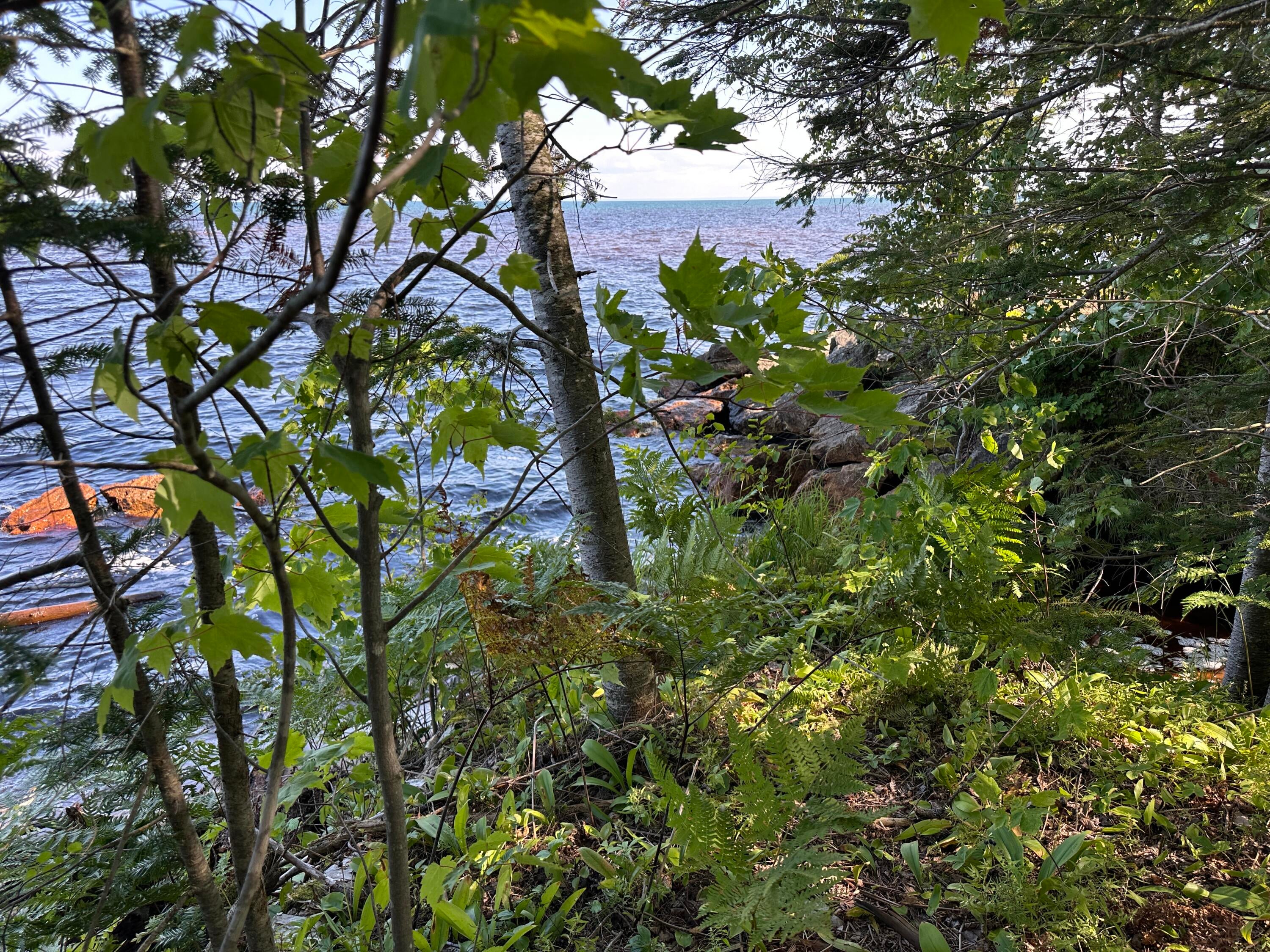10170 North Whitefish Point Road Paradise, MI 49768 - Photo 6 of 26 Gallery Image 6