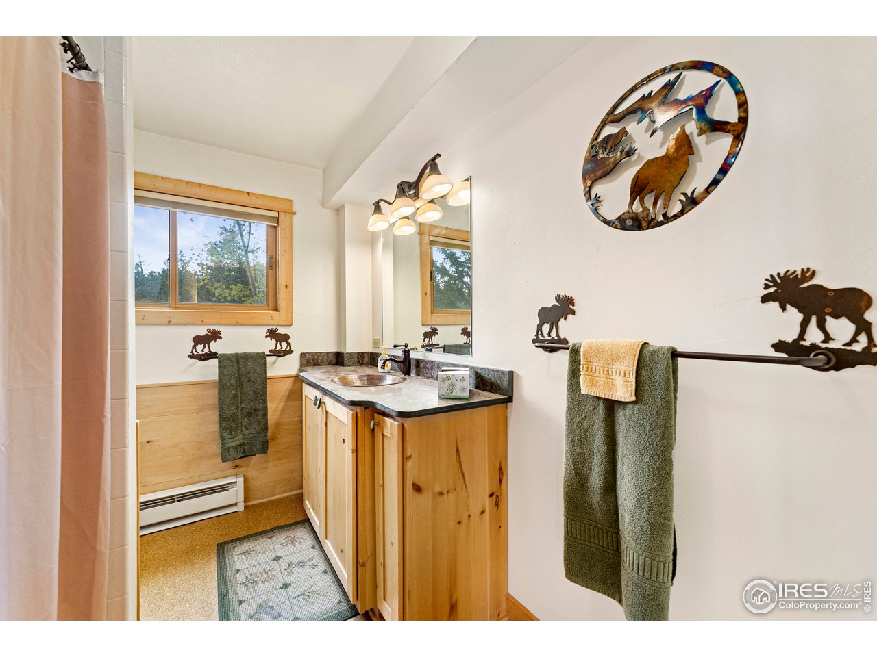 1359 Crow Road Red Feather Lakes, CO 80545 - Photo 13 of 23 Main floor bath.