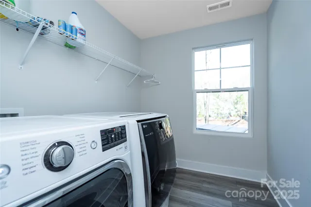 a view of a park with palm trees