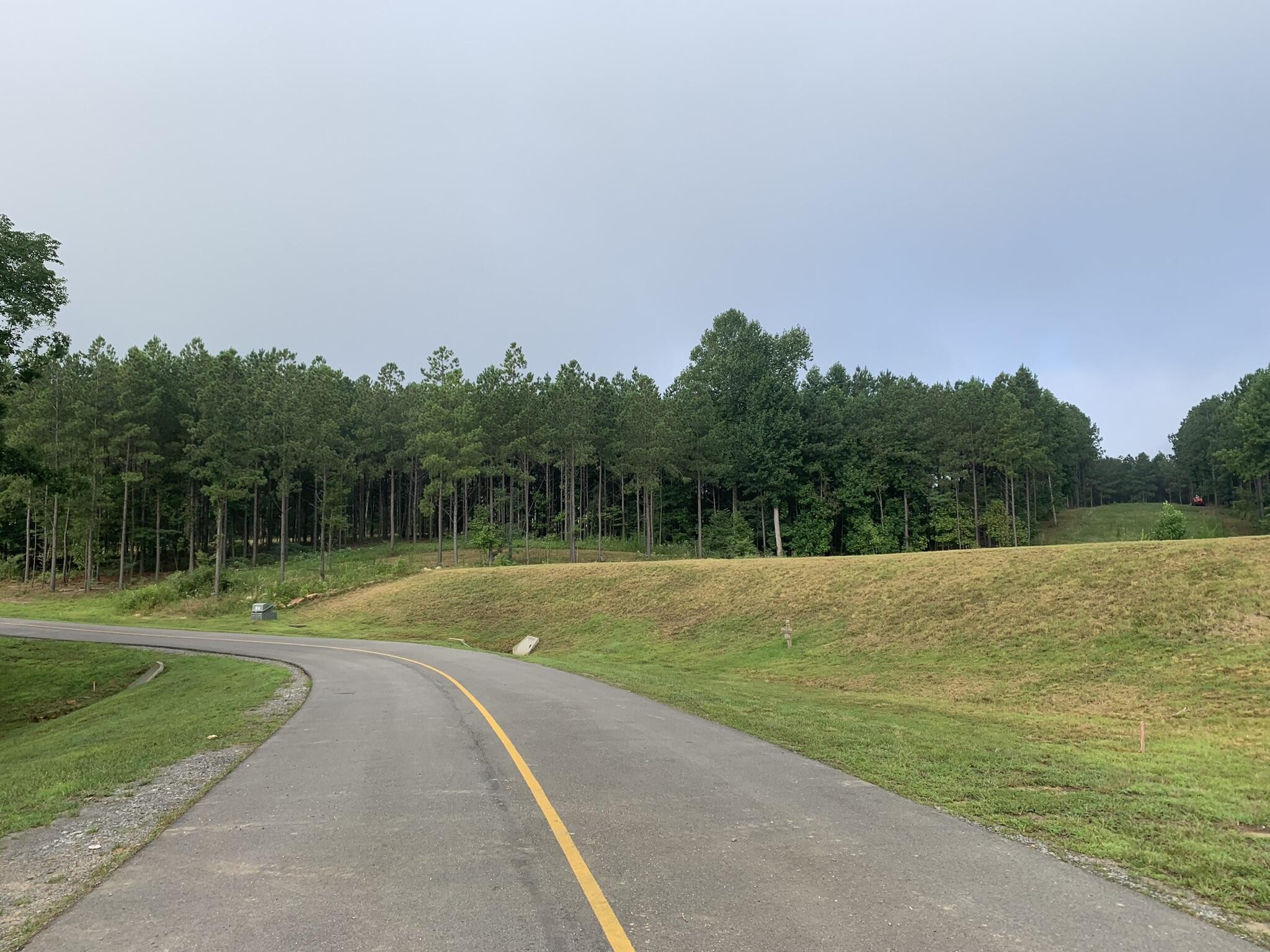 350 Crockett Loop Jasper, TN 37347 - Photo 5 of 55 a view of a golf course with a lake