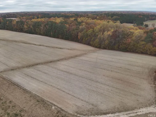 a view of a lush green space with sea