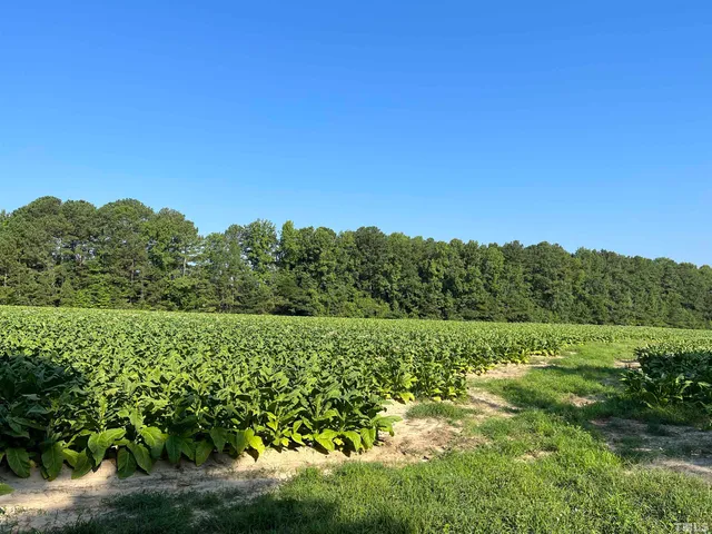 a view of a swimming pool