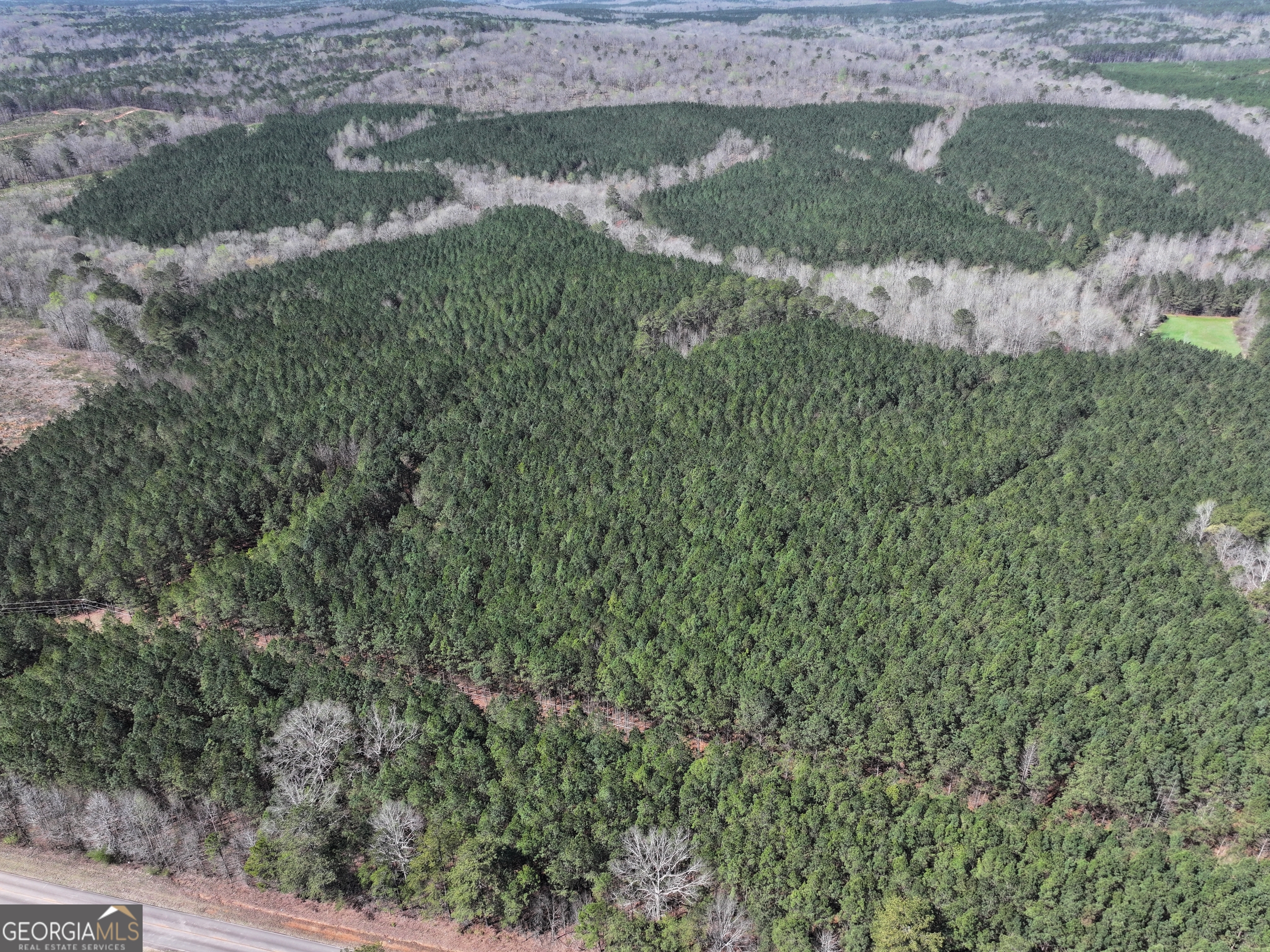 257 Acres On Ridgeway Road Franklin, GA 30217 - Photo 6 of 28