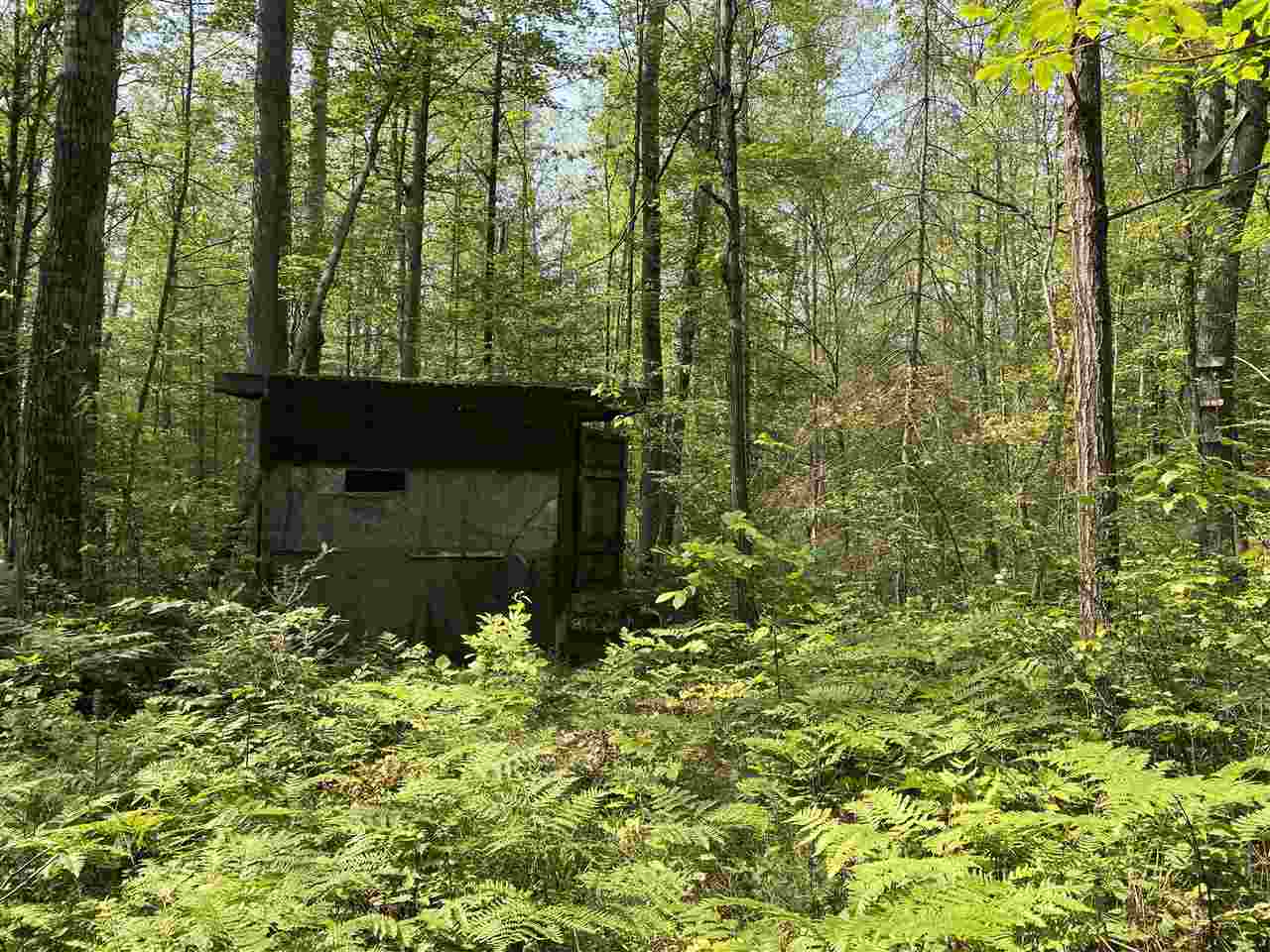 0 Briggs Road Omer, MI 48749 - Photo 11 of 45