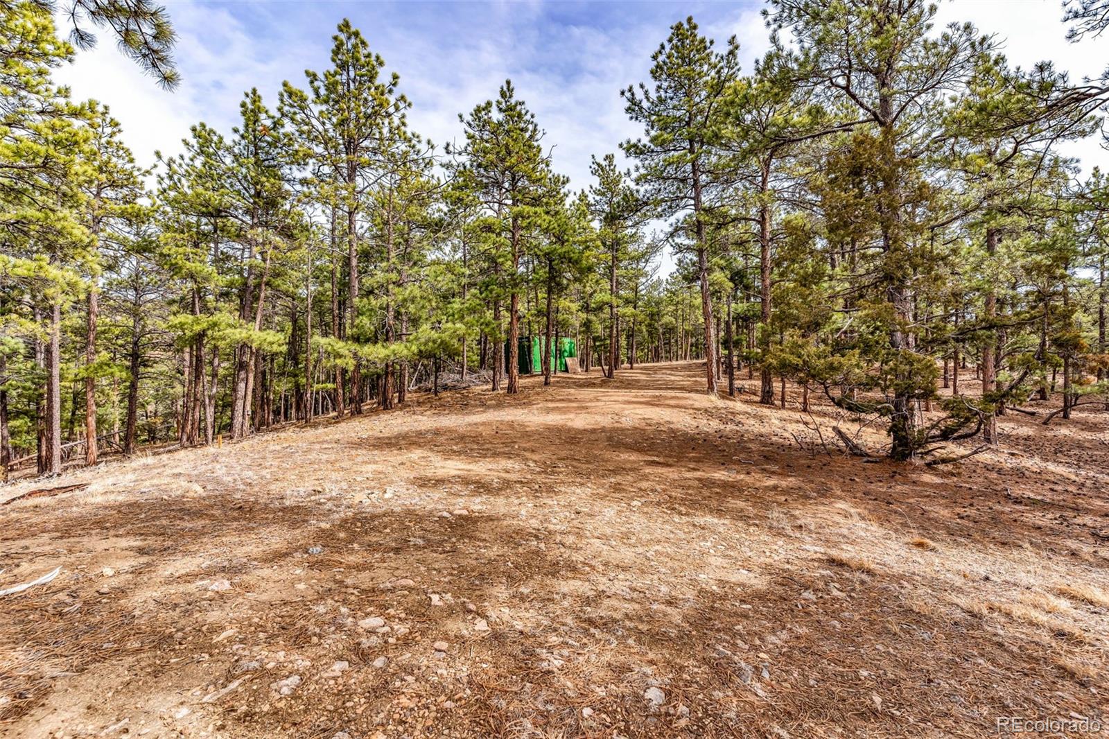 380 Buck Ridge Canon City, CO 81212 - Photo 19 of 28 a view of road with large trees