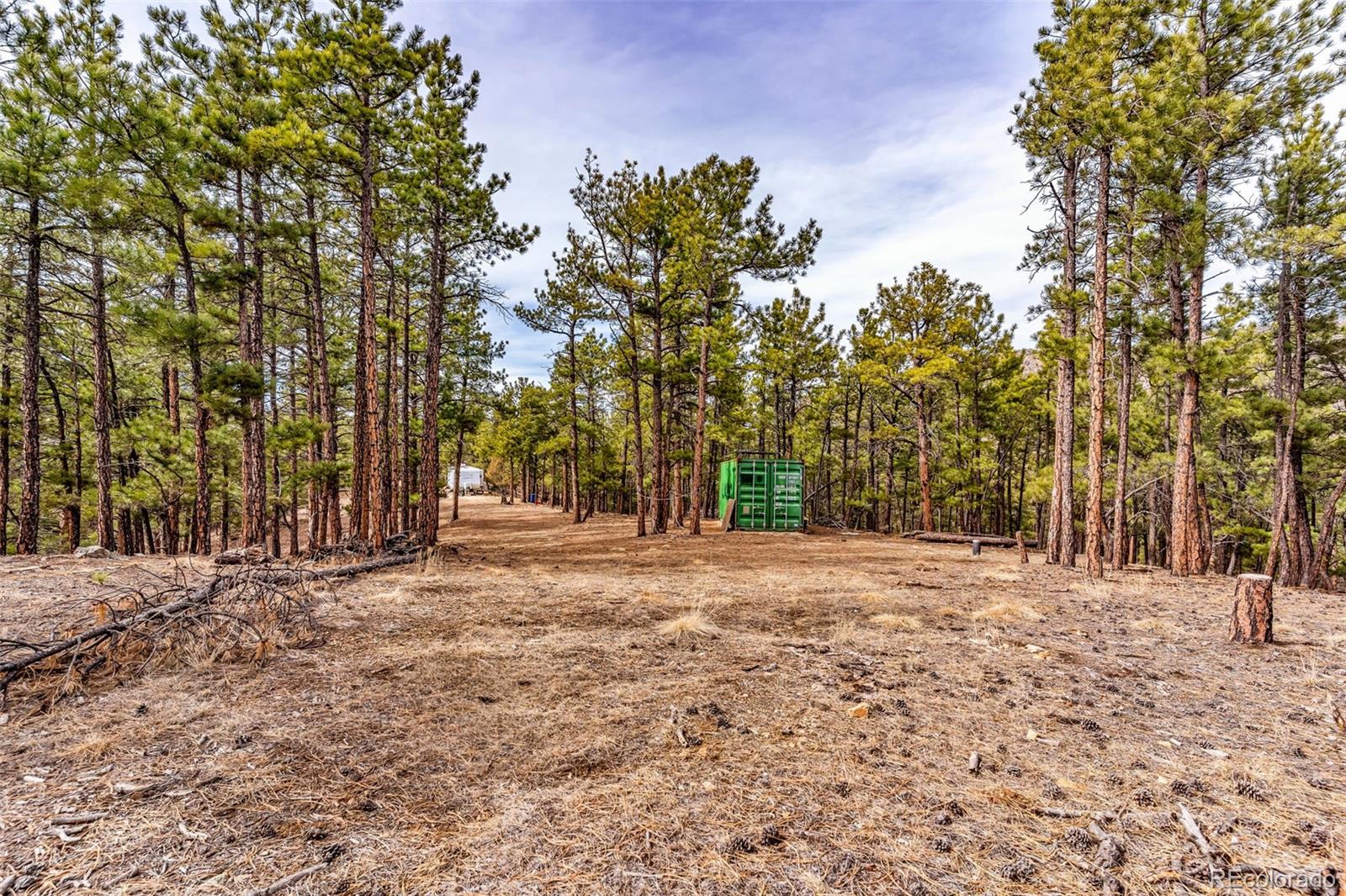 380 Buck Ridge Canon City, CO 81212 - Photo 20 of 28 a backyard of a house with trees