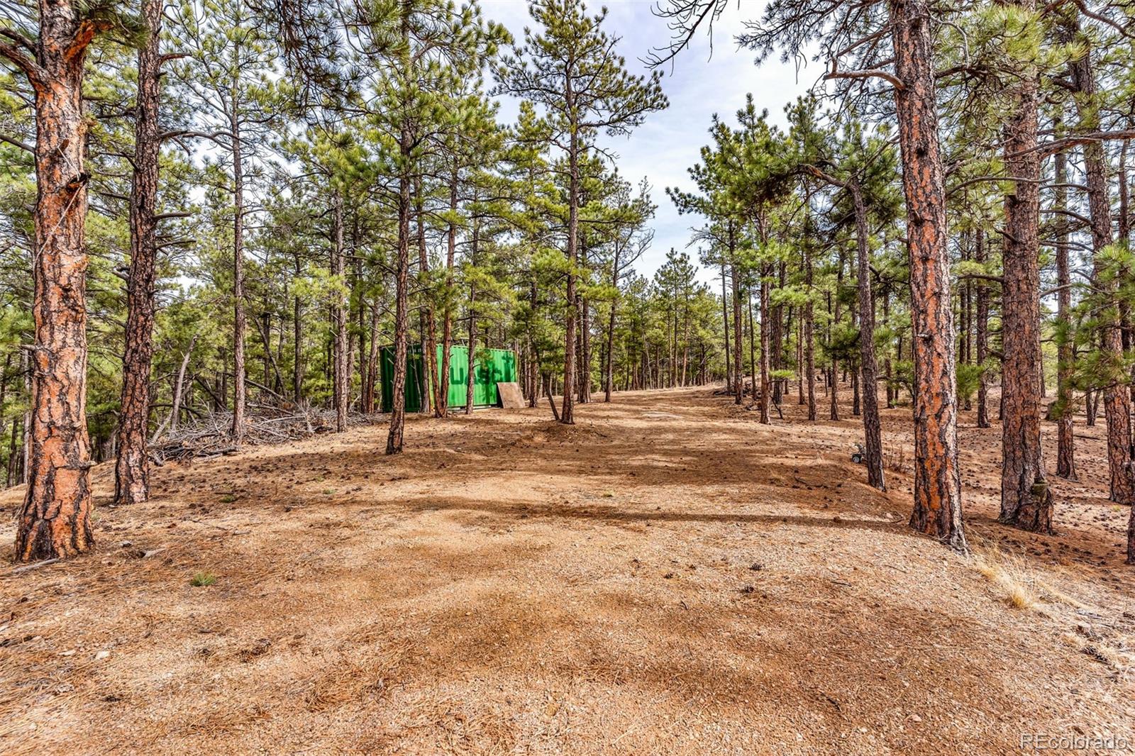 380 Buck Ridge Canon City, CO 81212 - Photo 23 of 28 a view of outdoor space with trees