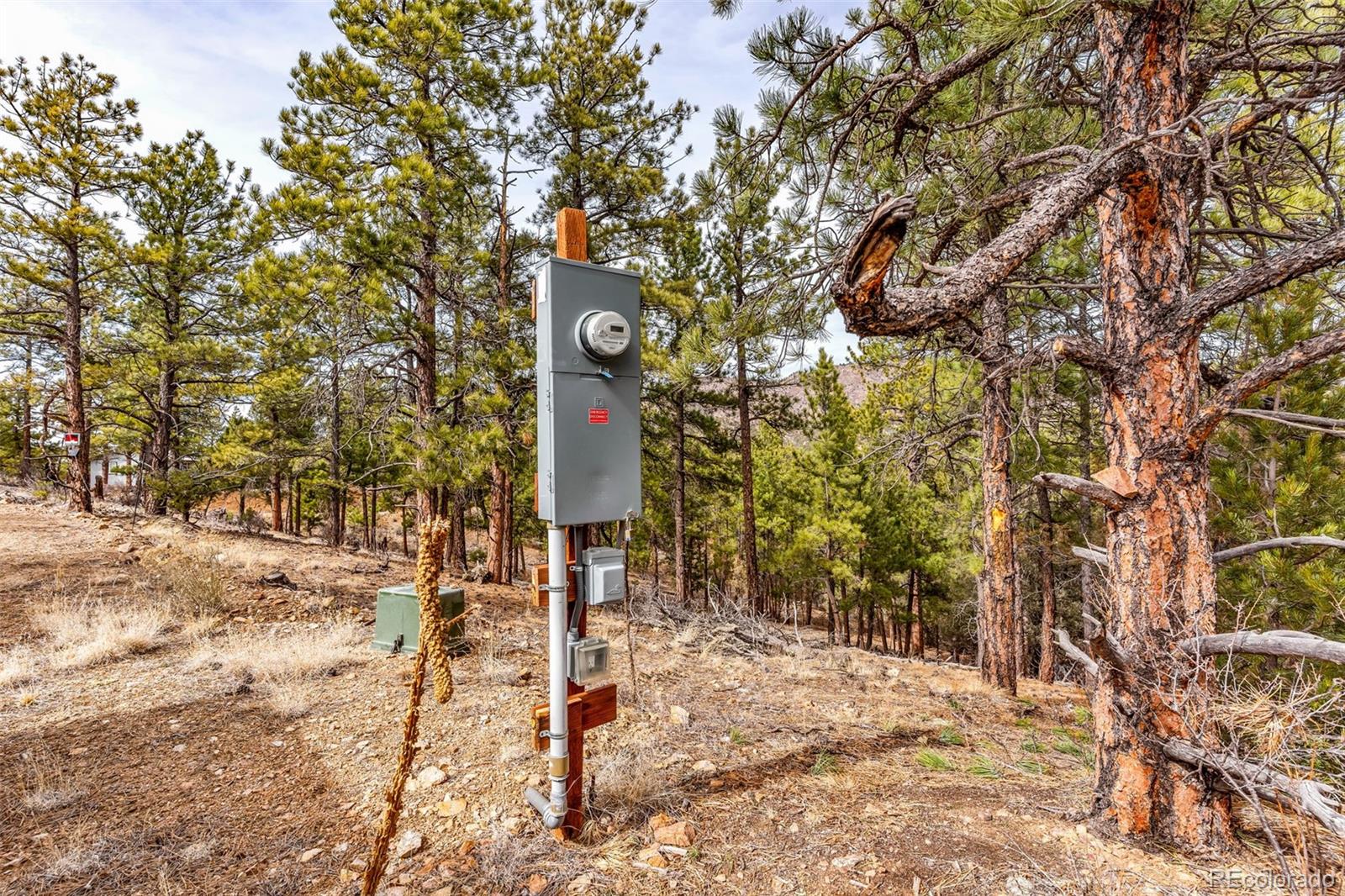 380 Buck Ridge Canon City, CO 81212 - Photo 25 of 28 a sign board with a tree in the background