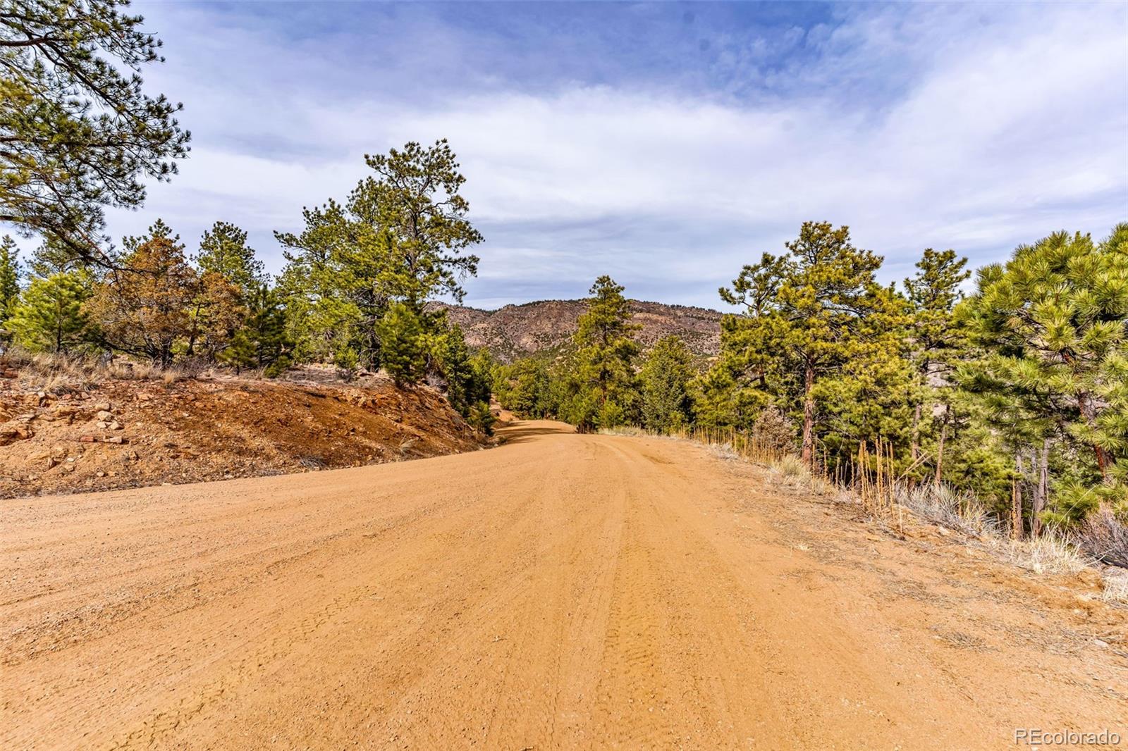 380 Buck Ridge Canon City, CO 81212 - Photo 27 of 28 a view of a yard with a tree