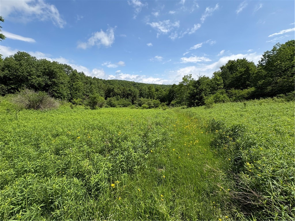 Stage Road South Otselic, NY 13155 - Photo 1 of 29