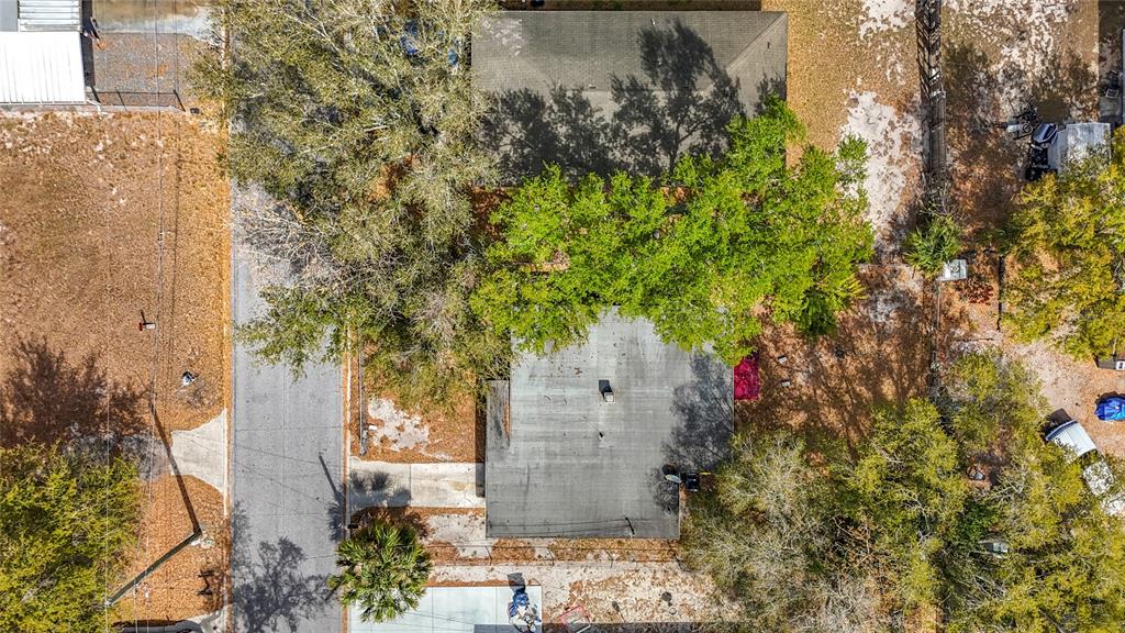 319 Leta Street Auburndale, FL 33823 - Photo 43 of 45 view of a house with a tree