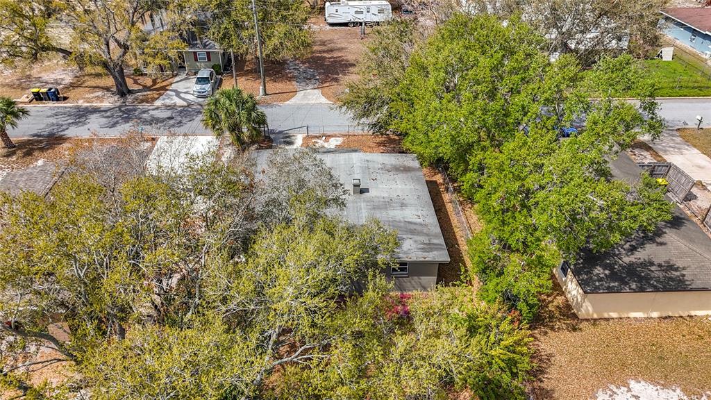 319 Leta Street Auburndale, FL 33823 - Photo 44 of 45 a view of a yard with plants