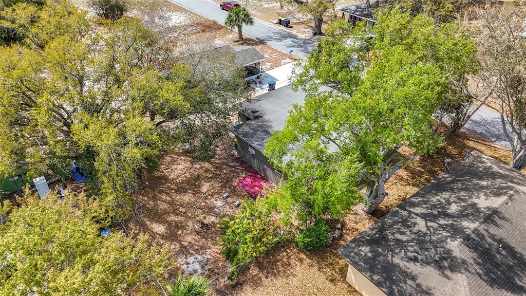 319 Leta Street Auburndale, FL 33823 - Photo 45 of 45 a backyard of a house with a yard