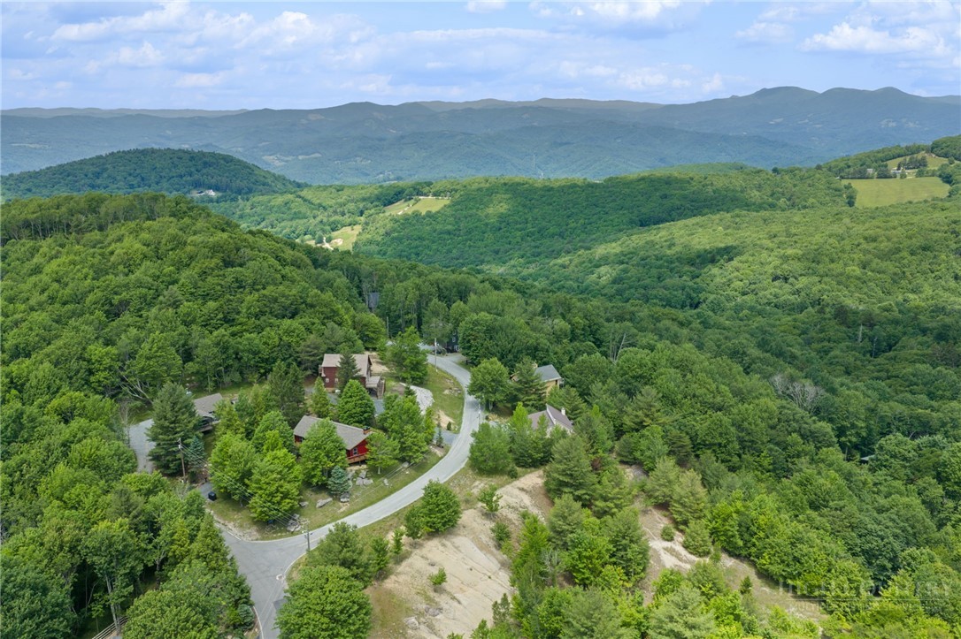 106 Upper Grouse Ridge Road Beech Mountain, NC 28604 - Photo 27 of 27