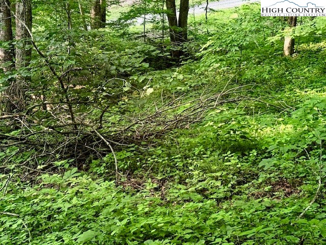 5 Oak Trail Creston, NC 28615 - Photo 11 of 21 a view of a lush green forest