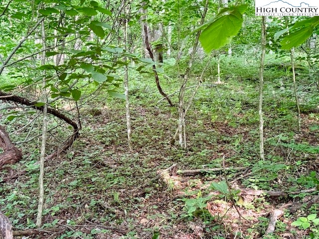 5 Oak Trail Creston, NC 28615 - Photo 13 of 21 a view of a garden