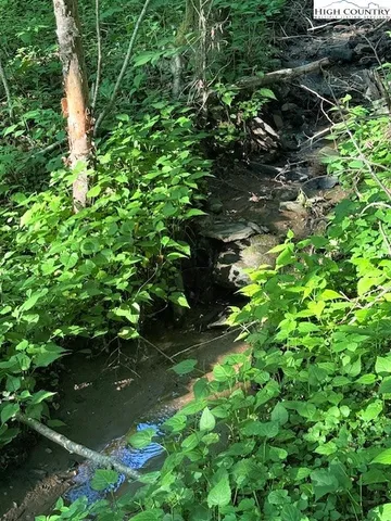 a view of lots of trees