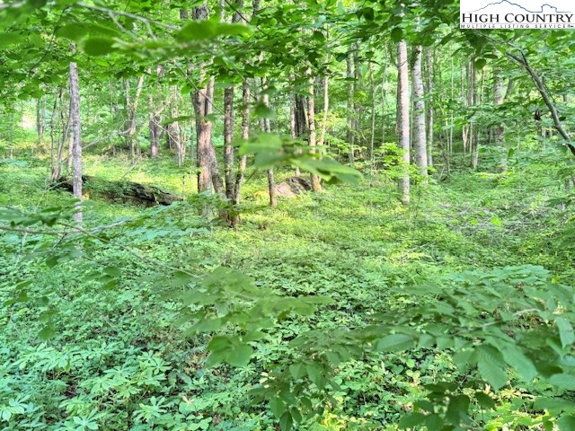 5 Oak Trail Creston, NC 28615 - Photo 18 of 21 a backyard of a house with lots of green space