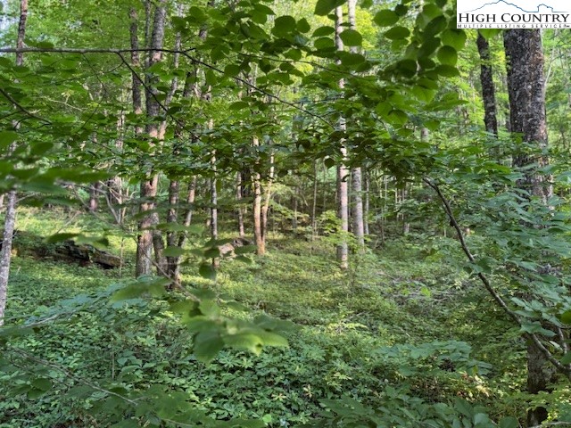 5 Oak Trail Creston, NC 28615 - Photo 20 of 21 a view of a yard