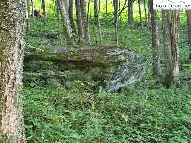 5 Oak Trail Creston, NC 28615 - Photo 2 of 21 a view of outdoor space and yard