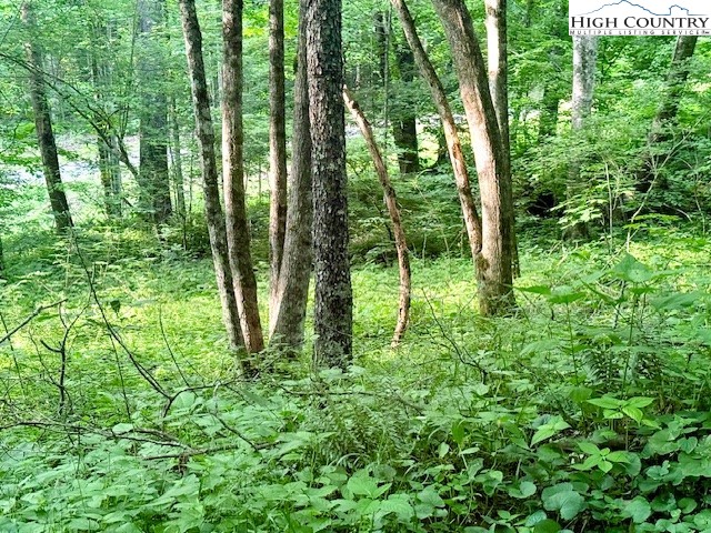 5 Oak Trail Creston, NC 28615 - Photo 3 of 21 a view of outdoor space and trees