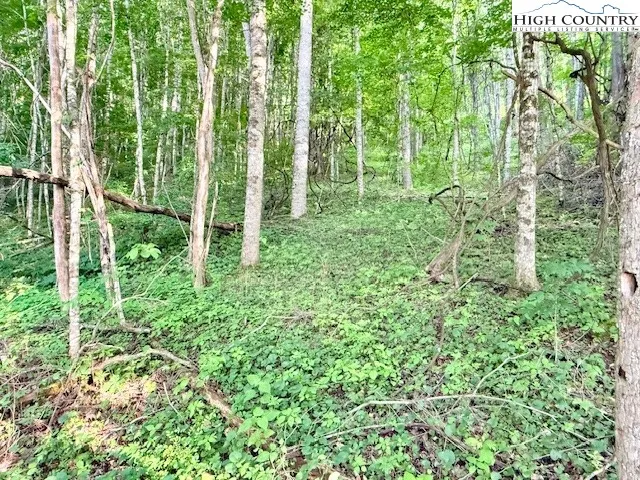 a view of outdoor space and garden