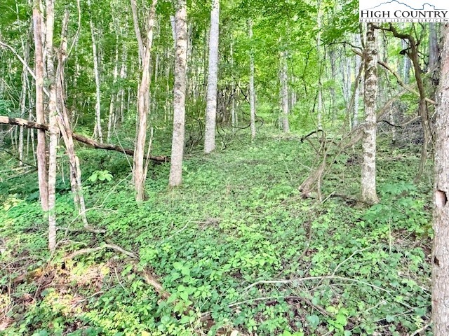 5 Oak Trail Creston, NC 28615 - Photo 4 of 21 a view of outdoor space and garden