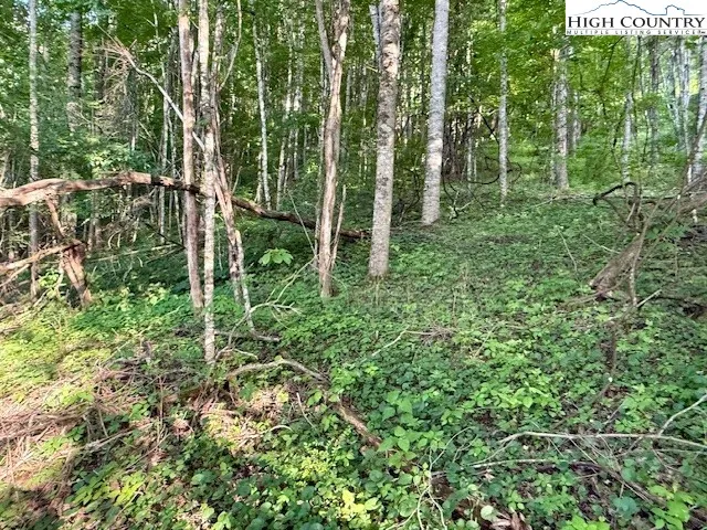 a view of outdoor space and garden