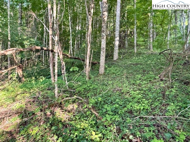 5 Oak Trail Creston, NC 28615 - Photo 5 of 21 a view of outdoor space and garden