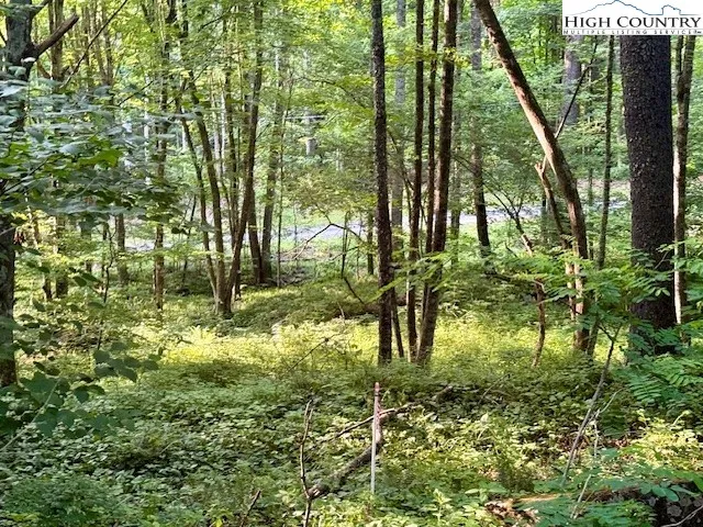 a view of backyard of house