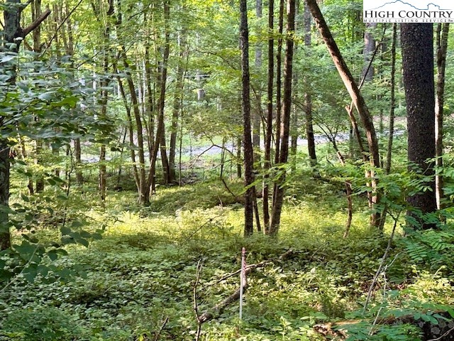 5 Oak Trail Creston, NC 28615 - Photo 6 of 21 a view of backyard of house