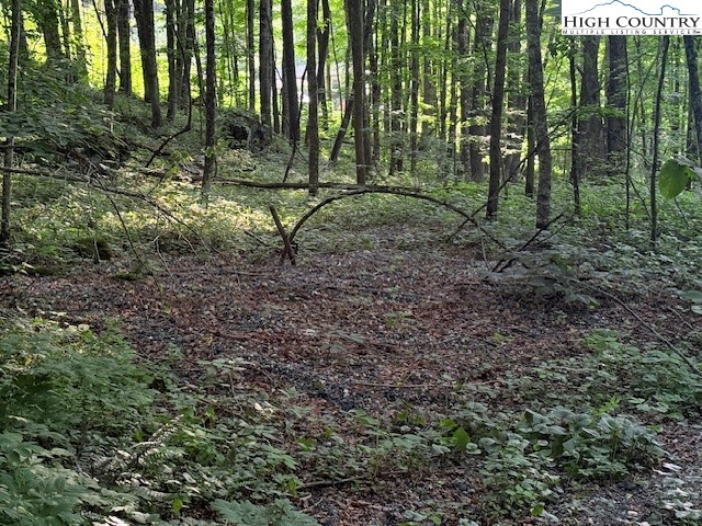5 Oak Trail Creston, NC 28615 - Photo 8 of 21 a view of trees and bushes