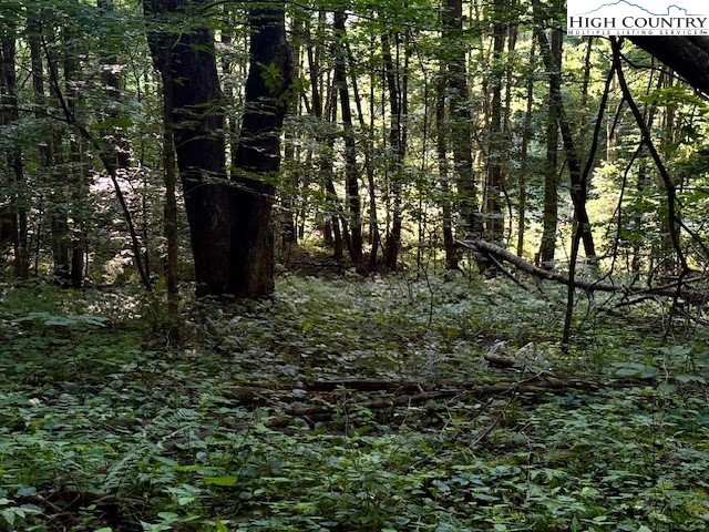 5 Oak Trail Creston, NC 28615 - Photo 10 of 21 a view of outdoor space and a yard