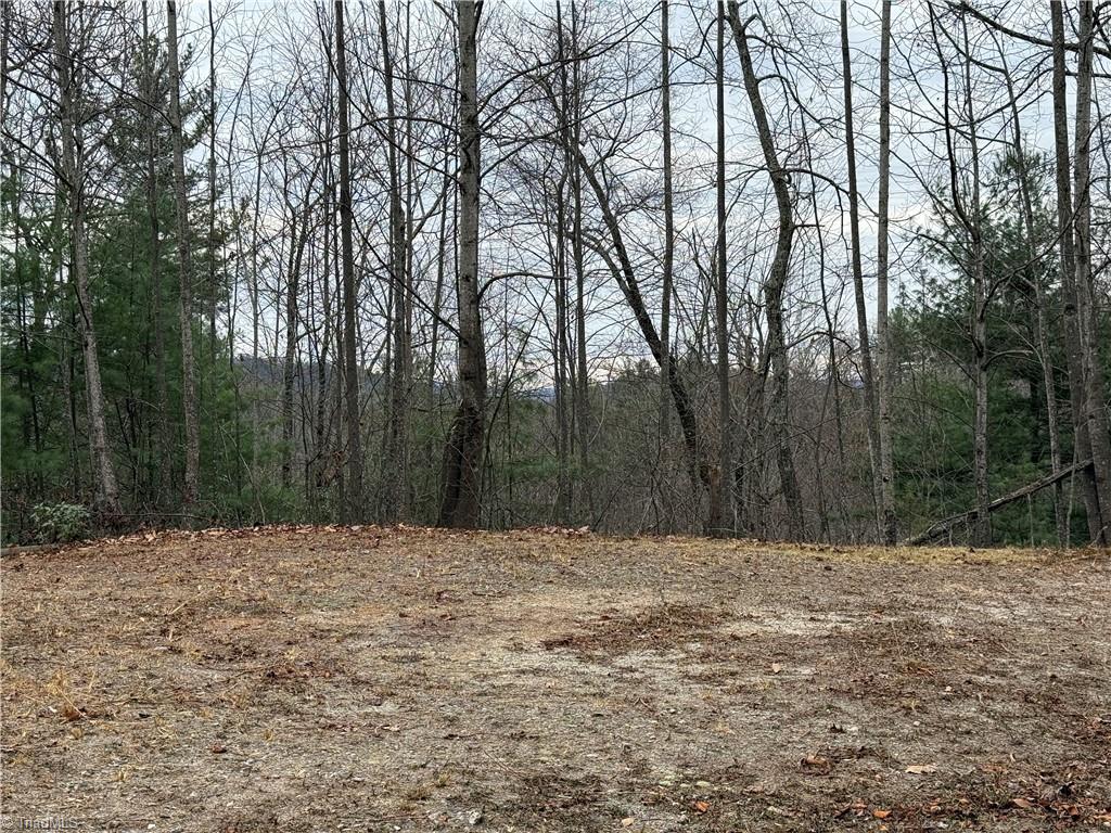 Lot 218 Casey Mountain Road Purlear, NC 28665 - Photo 13 of 42 Potential Building Site