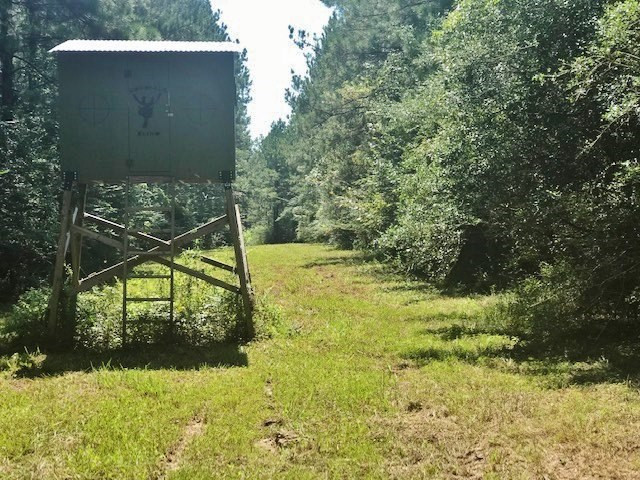 0 Holden Road Poplarville, MS 39470 - Photo 10 of 30 Photo 10
