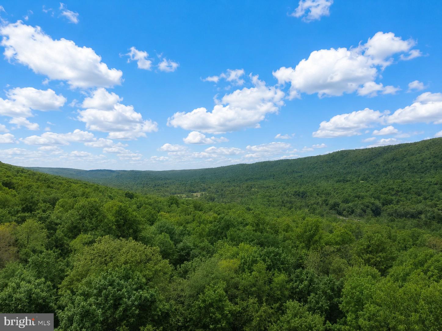 0 McCabe Road Landisburg, PA 17040 - Photo 11 of 11 Gallery Image 11