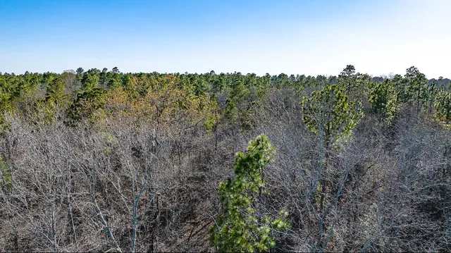 $142,000 | Lot 14 Bluffwood Road, Wagener, SC 29164